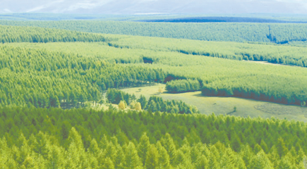 弘扬塞罕坝精神,中华大地山越来越绿、水越来越清。经过多年持续努力,我国森林覆盖率达到23.04%,森林面积和蓄积量连续30多年保持“双增长”,成为全球增林扩绿最多最快的国家。良好生态环境,厚植了全面建成小康社会的绿色底色和质量成色。